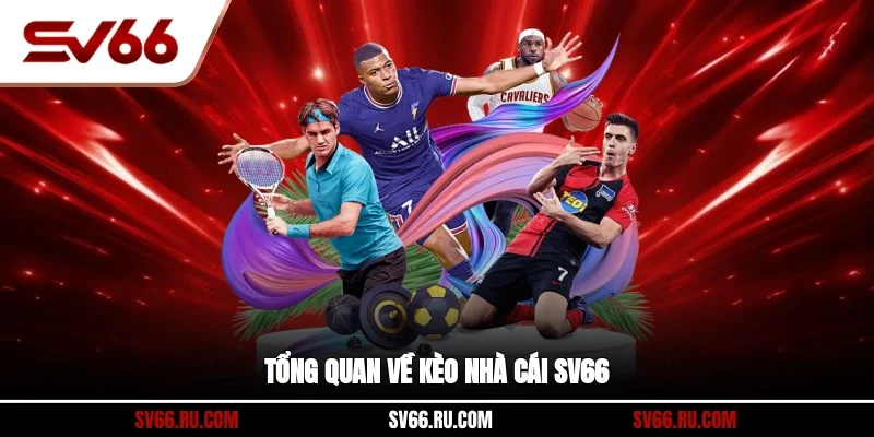 Tổng quan về kèo nhà cái SV66
