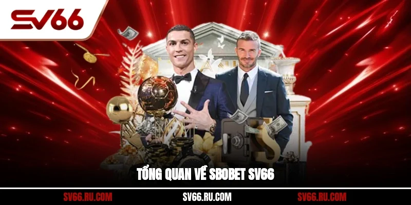  Tổng quan về SBOBET SV66